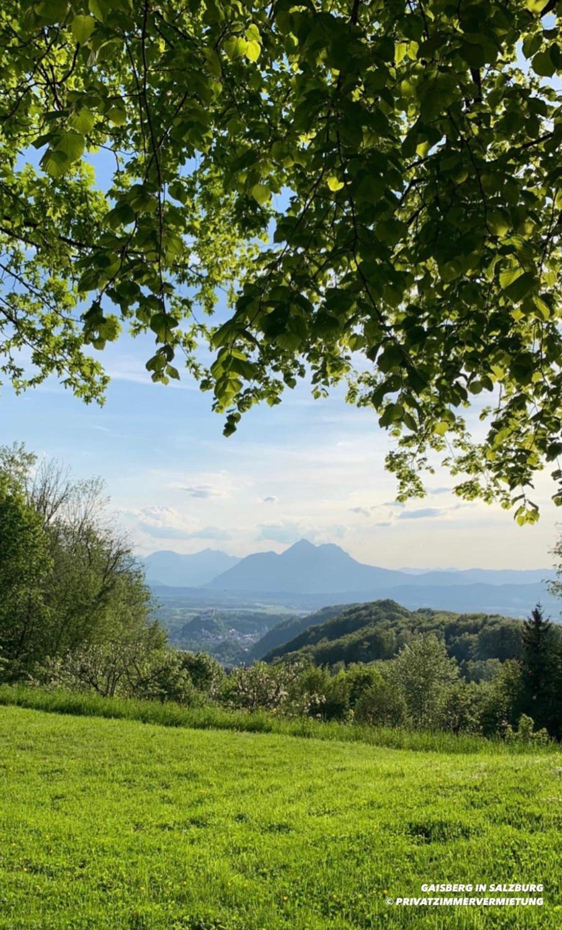 Privatzimmervermietung Homestay szállás Salzburg